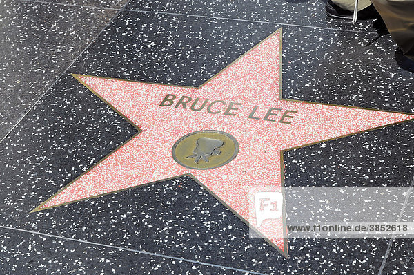 Holly Wood Walk Fame on Walk Of Fame  Bruce Lee  Hollywood Boulevard  Los Angeles  California