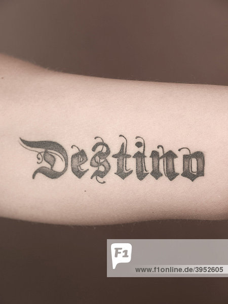 Frau Arm Tattoo Destino iblaka01079061